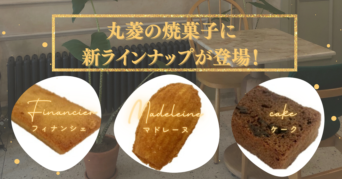 ヨーロッパの伝統菓子のフェーヴ（フェーブ）／全12個／2000年